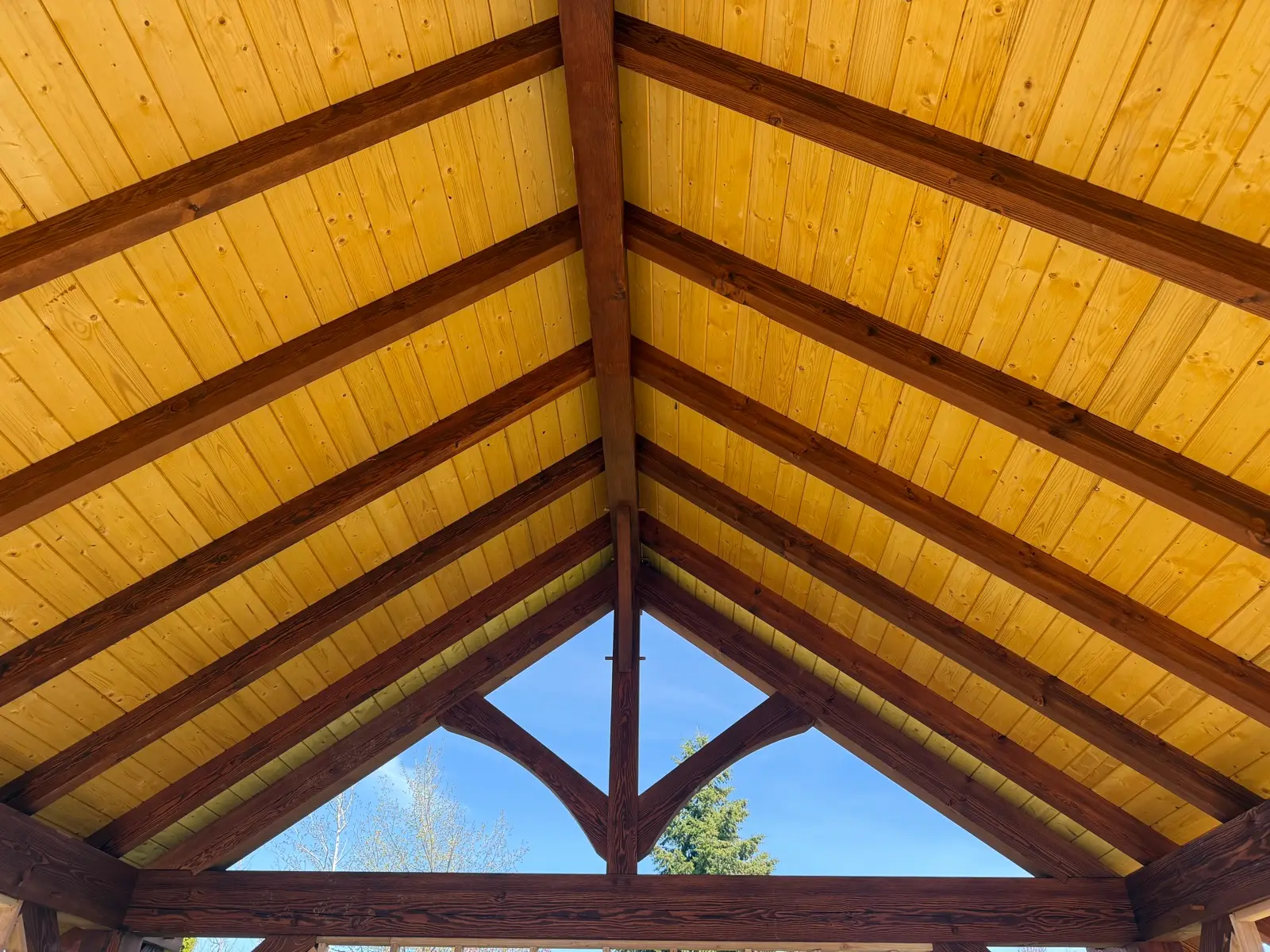 Stained timber-frame pavilion ceiling with exposed beams over a deck